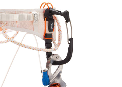 Close-up of a climbing harness with carabiner and ropes on a white background