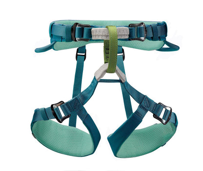 Teal climbing harness with green accents on a white background