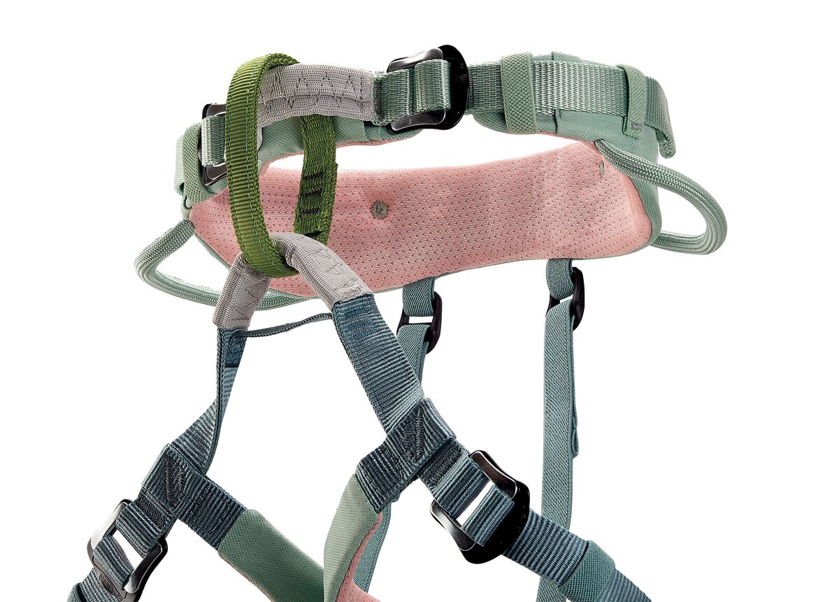Pet harness with pink cushioned backplate on a white background