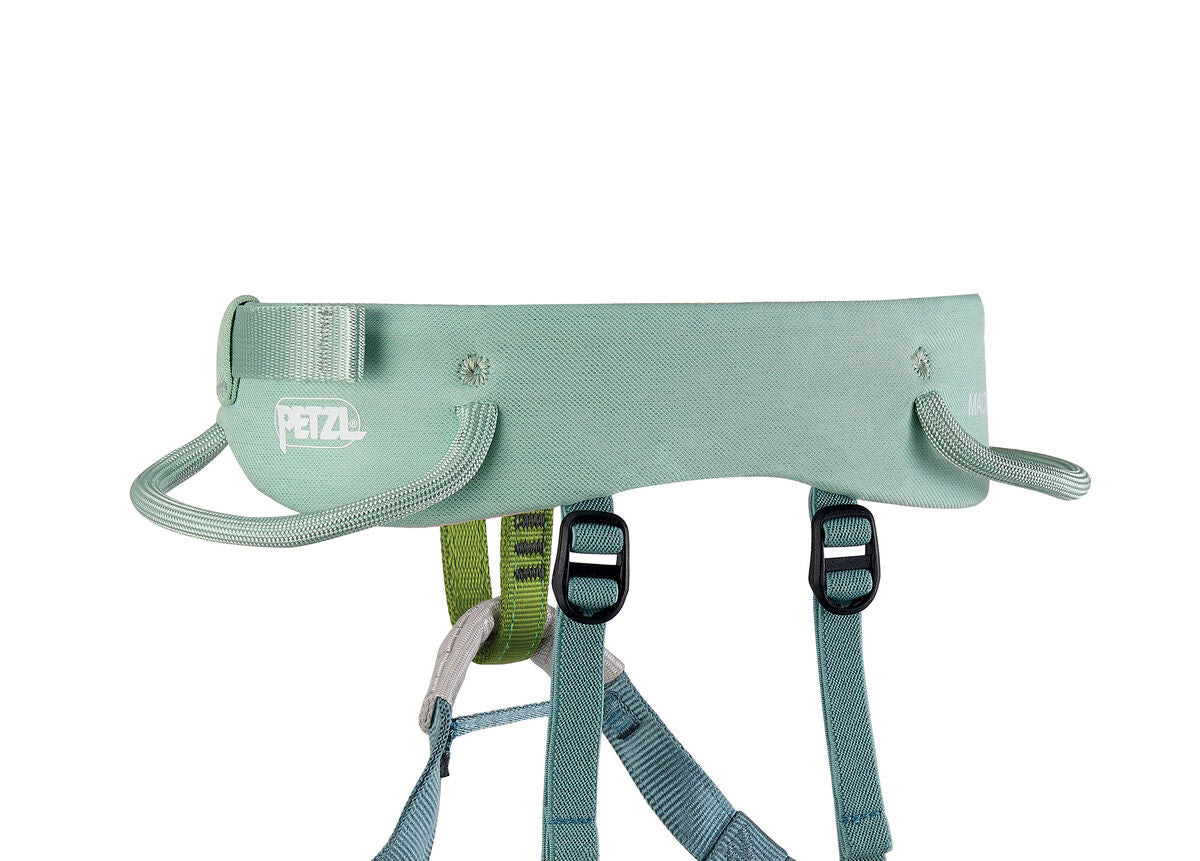 Green climbing harness with Petzl logo on a white background