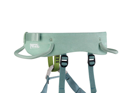 Green climbing harness with Petzl logo on a white background