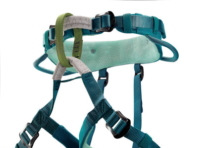 Teal climbing harness with multiple straps on a white background