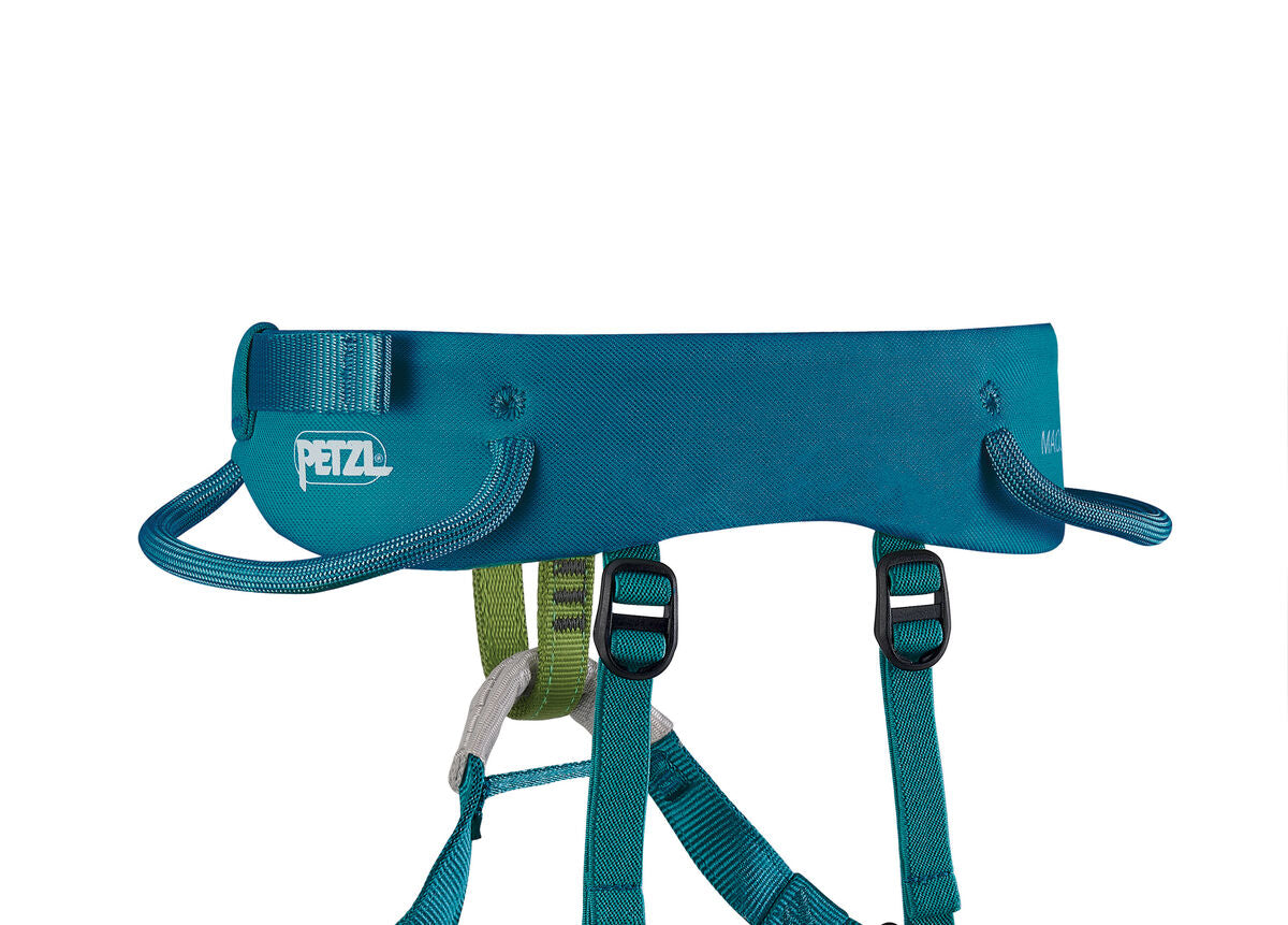 Teal climbing harness with Petzl logo on a white background