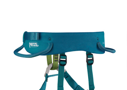 Teal climbing harness with Petzl logo on a white background