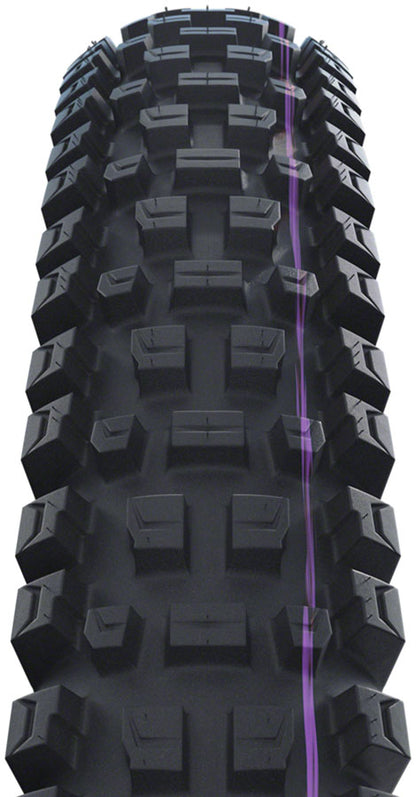 Schwalbe Albert Tire - 29 x 2.50, Tubeless, Folding, Black, Evolution Line, Trail Pro, Addix Ultra Soft, Radial, E-50