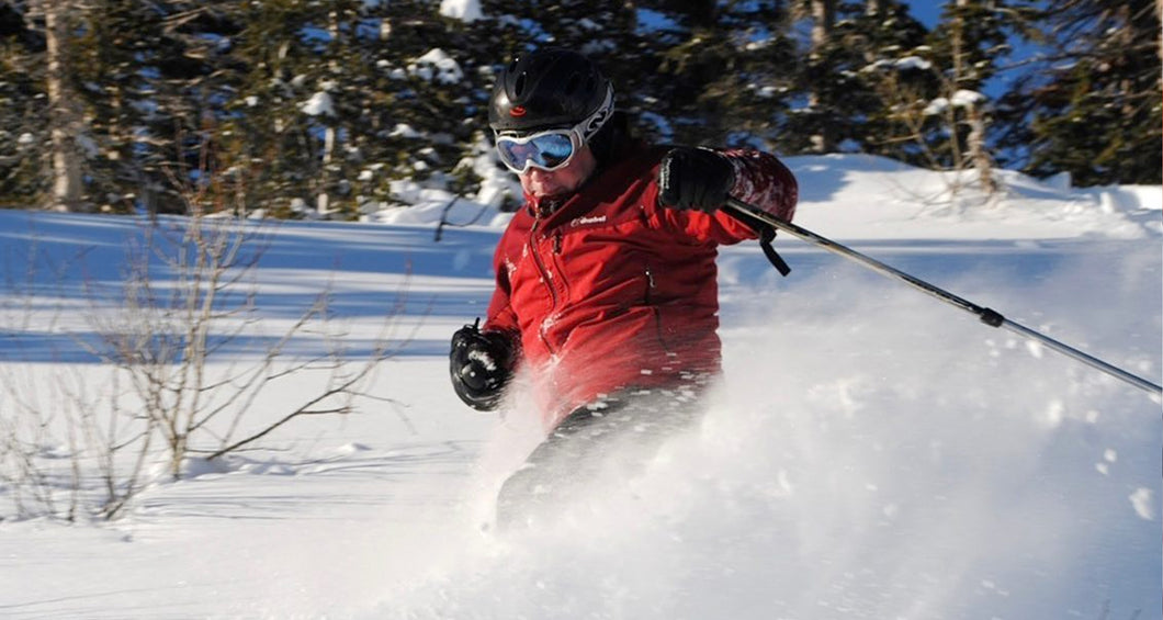 Alpine Rental Test