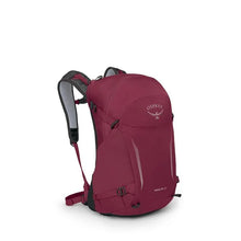 Load image into Gallery viewer, Osprey Hikelite 26
