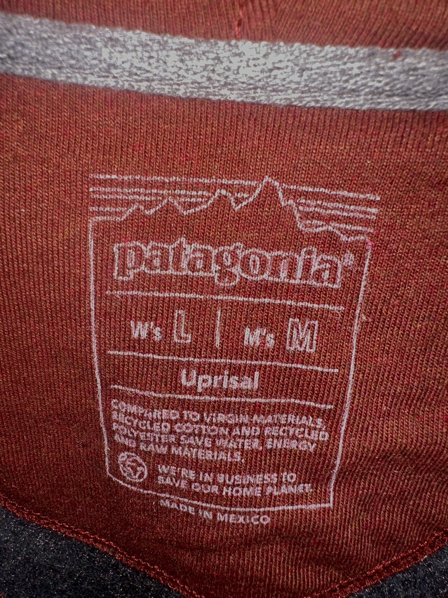 Patagonia Upper Peninsula Logo Fitz Roy Hoody