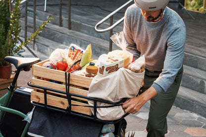 MOMENTUM PakYak E+ 28MPH