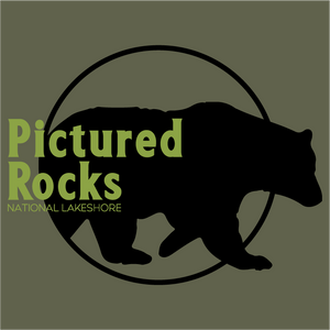 Pictured Rocks Black Bear